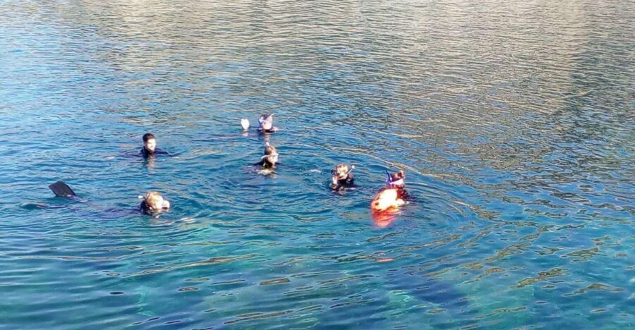 Gran Canaria: Snorkeling Trip - The wetsuit-and-equipment setup that saves time