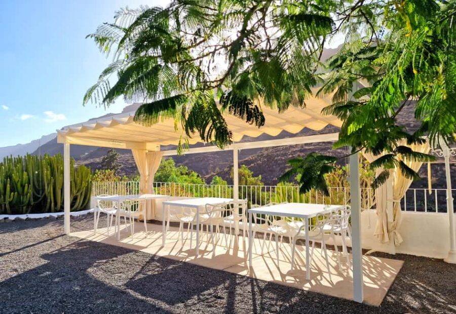 Gran Canaria: tasting wine & local cheese - Inside the two-century-old wine cellar: where the tasting feels serious