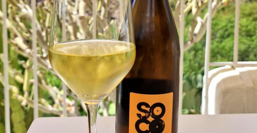 Gran Canaria: tasting wine & local cheese - Quick practical tips before you go