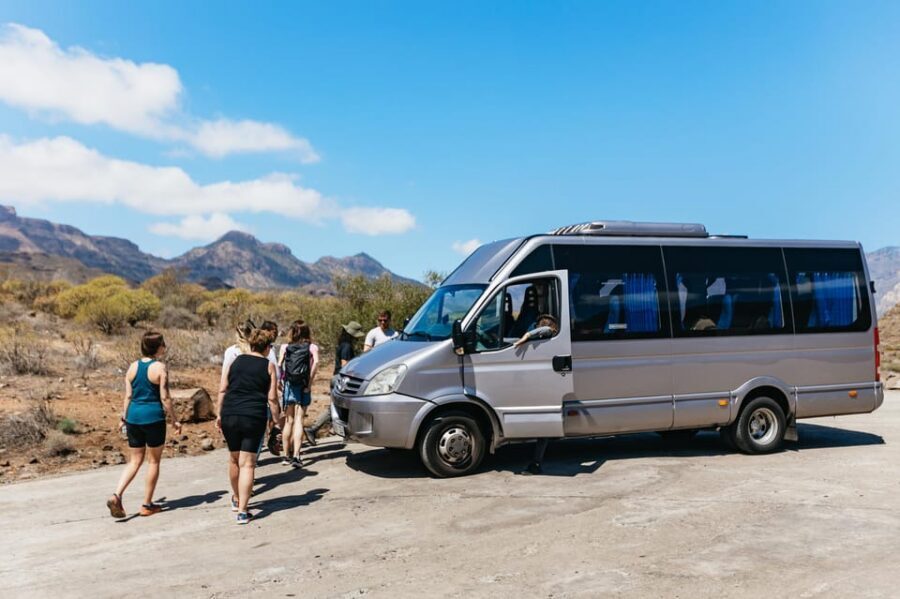 Gran Canaria: The Red Canyon Tour with Local Food Tasting - Who should book this tour (and who should skip)