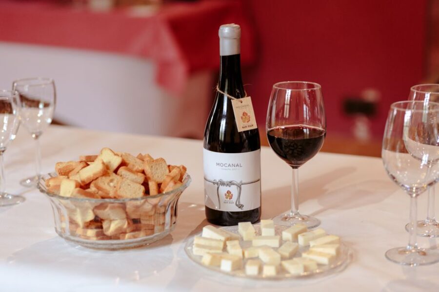 Gran Canaria: Winery Tour, Wine Museum, and Tasting - Arriving at Bodega San Juan, Finca El Mocanal