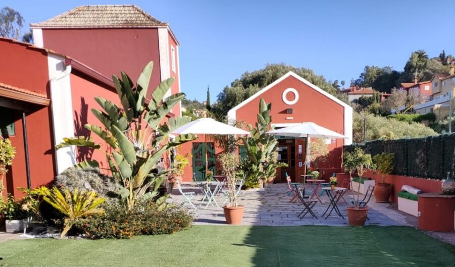 Gran Canaria: Winery Tour, Wine Museum, and Tasting - Weather reality: rain or shine, with time to enjoy