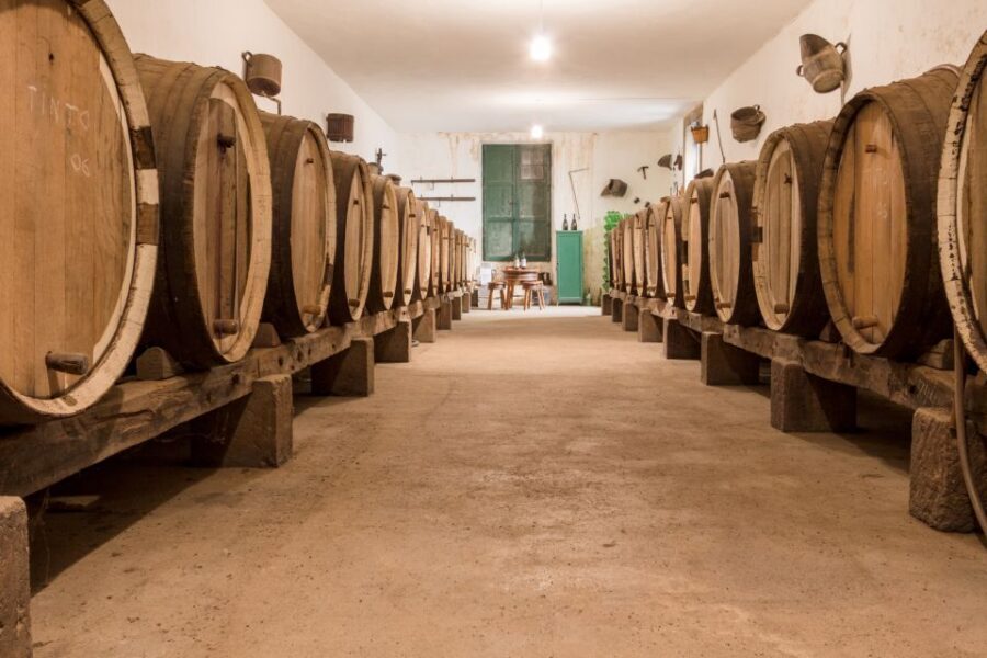 Gran Canaria: Winery Tour, Wine Museum, and Tasting - Who this tour suits best (and who may want something else)