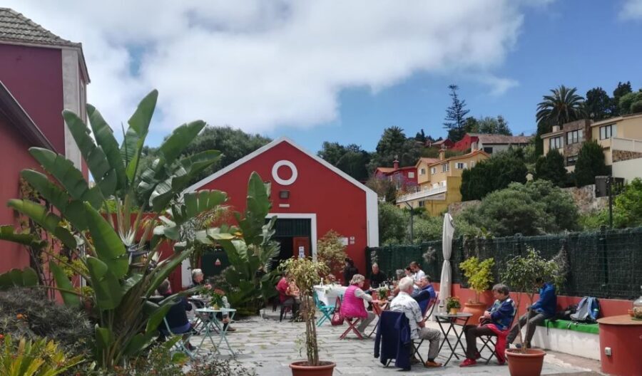 Gran Canaria: Winery Tour, Wine Museum, and Tasting - Practical planning: keep it simple and on time
