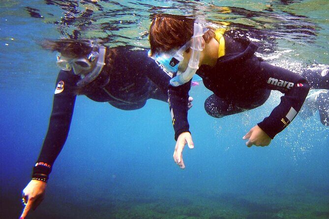 Guided Snorkelling Experience in South of Gran Canaria - Playa de Amadores and the 8:30 am start time