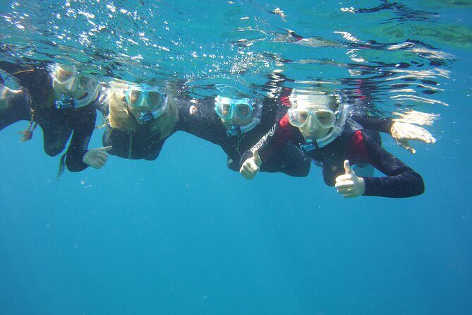 Guided Snorkelling Experience in South of Gran Canaria - What happens before you even enter the water