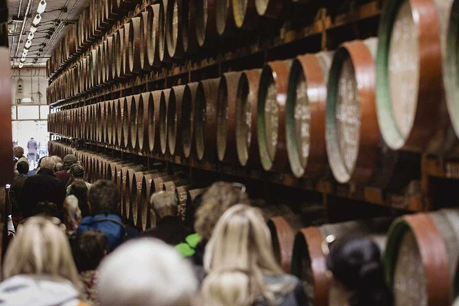 Guided Tour at Ron Arehucas Distillery - Why this Ron Arehucas tour is a smart Gran Canaria stop