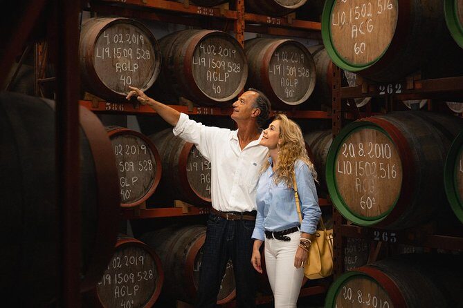 Guided Tour at Ron Arehucas Distillery - Entering Destilerías Arehucas: the production walk that makes rum make sense