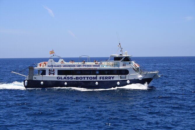 Half-Day Cruise Tour-Dolphin and Whale Watching - Stop time matters: the swim, snorkel gear, and anchor break