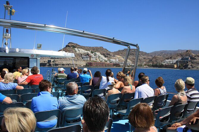 Half-Day Cruise Tour-Dolphin and Whale Watching - How long will it take? Timing you can plan around