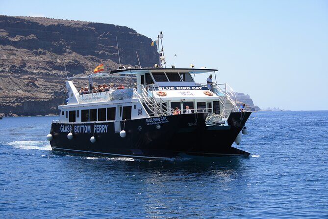 Half-Day Cruise Tour-Dolphin and Whale Watching - Value for the money: what you really get for $44.65