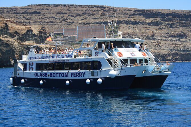 Half-Day Cruise Tour-Dolphin and Whale Watching - Who this cruise is best for (and who should skip)