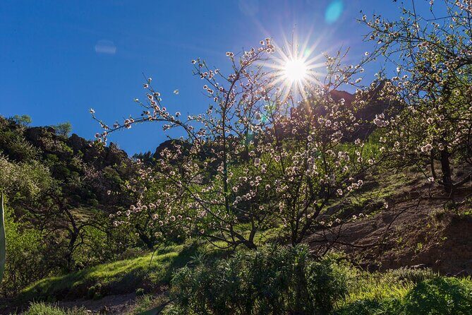 Hikes Roque Nublo - Key highlights you’ll actually feel on the day