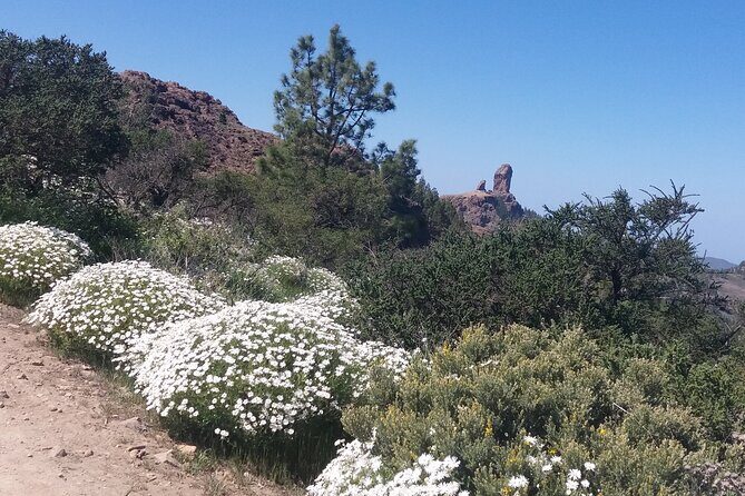 Hikes Roque Nublo - Who This Roque Nublo Hike Suits Best