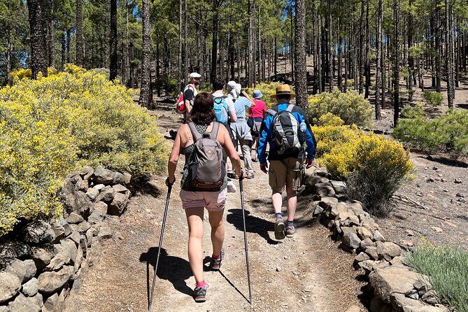 Hikes Roque Nublo - Your Trail Day From El Aserrador Pass to Roque Nublo