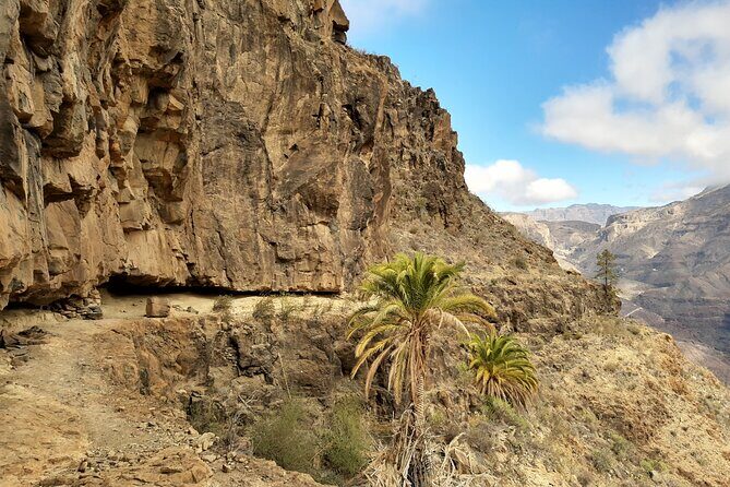 Hiking experience in the north of Gran Canaria - How the guide chooses the route: weather, bloom, and safety