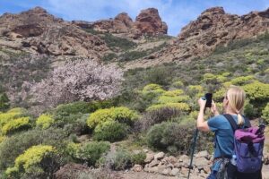 Hiking in the Sacred Mountains of Gran Canaria: UNESCO - How the 7 km route really feels: 200 m up and 380 m down