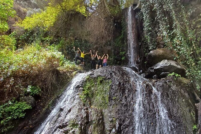 Hiking in Waterfalls & Rainforest with local guides: Sky Rebels - Barranco De Los Cernicalos: where the hike turns tropical
