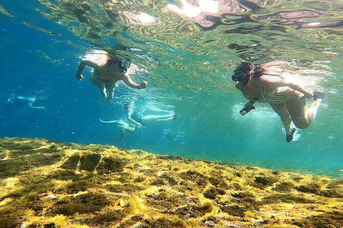 Kayaking Adventure Route with Snorkeling in Mogan Caves - Small group value: why max 15 matters on the water