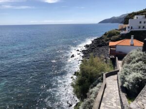 La Palma: North Island Bus Tour with Ron Aldea Distillery - Why the North Side of La Palma feels like two different worlds