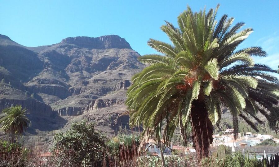 Las Palmas: 8-Hour Gran Canaria Island Highlights Tour - Crossing Gran Canaria from north to south in 8.5 hours