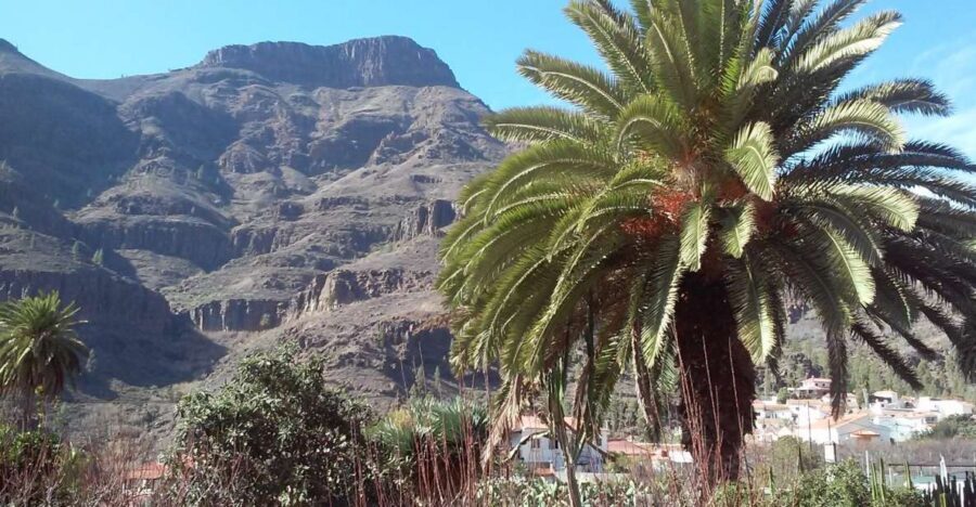 Las Palmas: 8-Hour Gran Canaria Island Highlights Tour - Santa Brígida: a history-focused village break