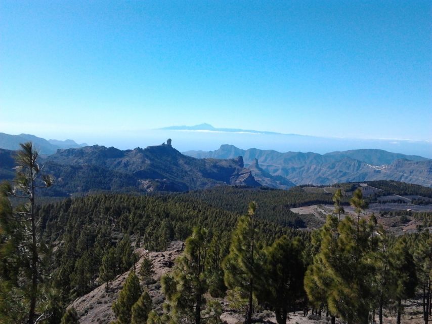 Las Palmas: 8-Hour Gran Canaria Island Highlights Tour - The guide and driver: what really makes the day feel smooth