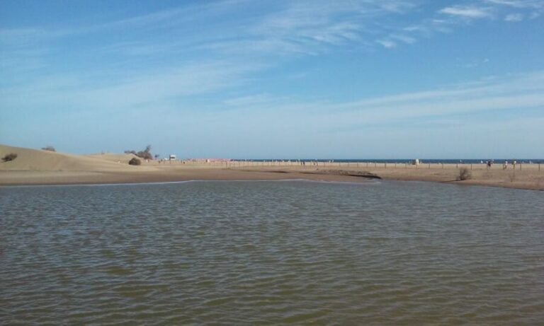 Las Palmas: 8-Hour Gran Canaria Island Highlights Tour - Bandama Volcano: the extinct-crater stop that sets the mood