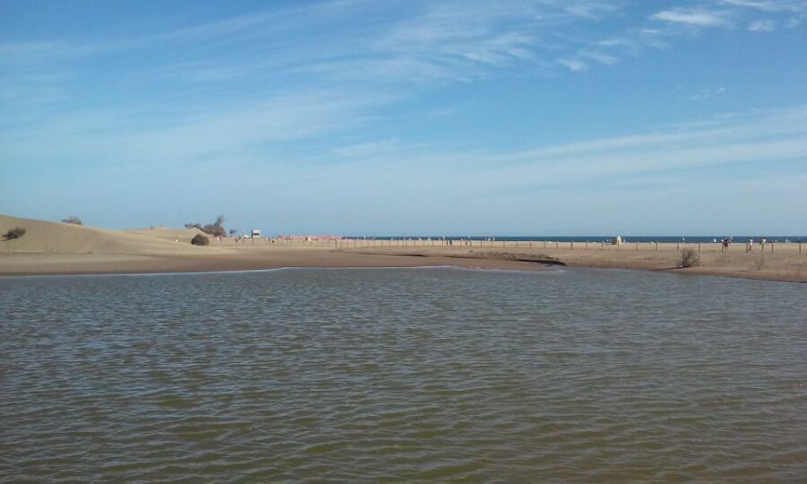 Las Palmas: 8-Hour Gran Canaria Island Highlights Tour - Bandama Volcano: the extinct-crater stop that sets the mood