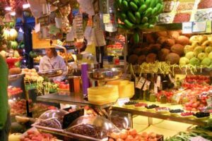 Las Palmas, Botanical Garden & Bandama Crater tour - Gran Canaria - Price and Value: What $37.21 Buys You in the Real World