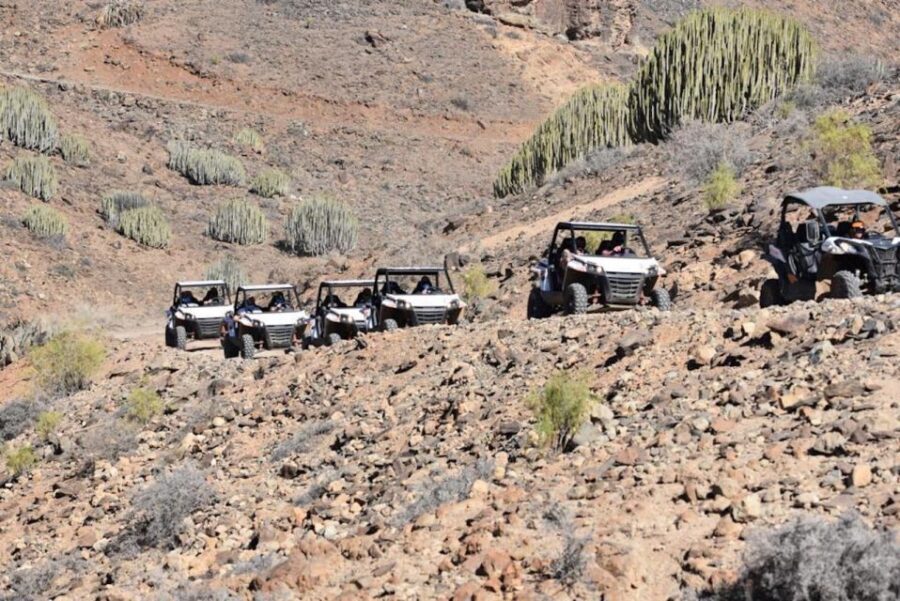 Las Palmas: Gran Canaria Guided Buggy Tour - Stops, Views, and Photo Moments Without the Forced Tourist Feel