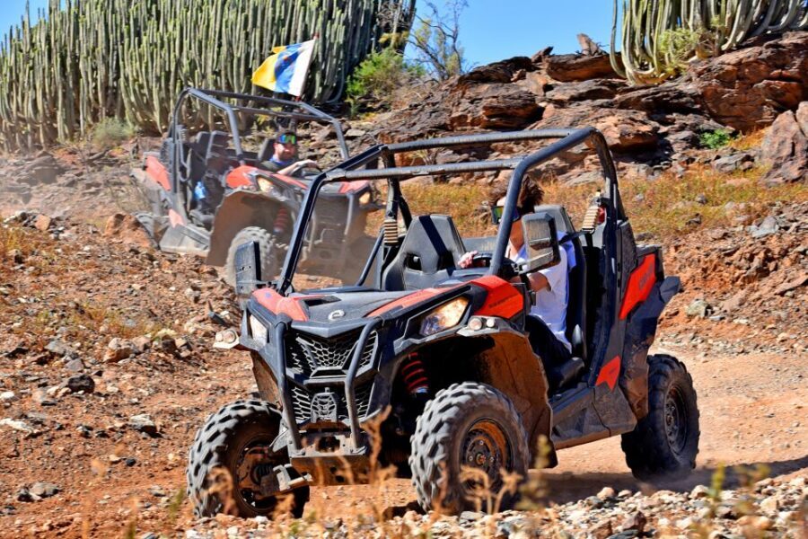 Las Palmas: Gran Canaria Guided Buggy Tour - Price and Value at $141: What You Pay For (and What You Don’t)