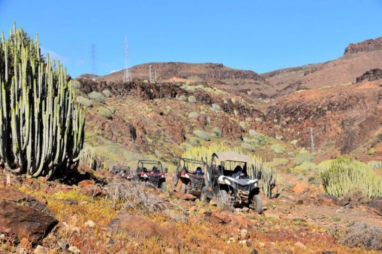 Las Palmas: Gran Canaria Guided Buggy Tour - The Southern Mountain Tracks: What the 2-Hour Ride Actually Feels Like