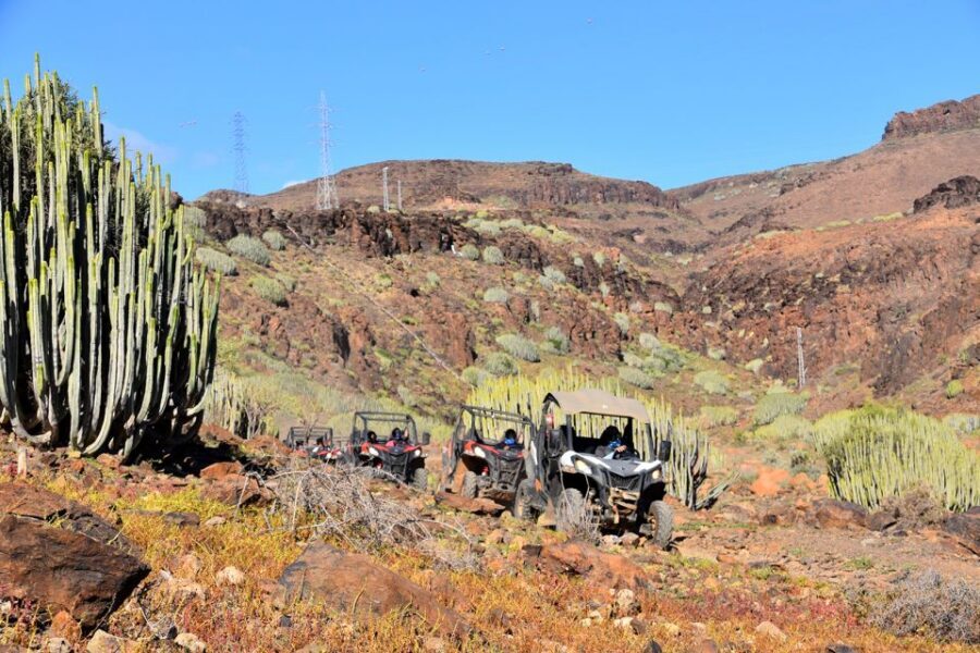 Las Palmas: Gran Canaria Guided Buggy Tour - The Southern Mountain Tracks: What the 2-Hour Ride Actually Feels Like