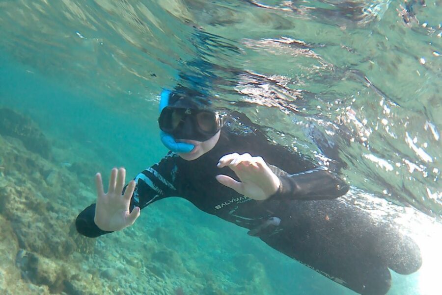 Las Palmas: Las Canteras Beach Snorkeling Trip - Las Canteras Beach: Why This Urban Shore Snorkeling Feels Special