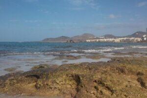 Las Palmas: Las Canteras Beach Snorkeling Trip - Getting Started At Emoción Apnea: The Simple Way In