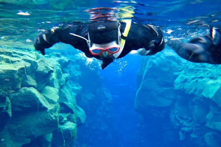 Las Palmas: Las Canteras Beach Snorkeling Trip - Shallow-Water Reality Check (And Why It Might Surprise You)