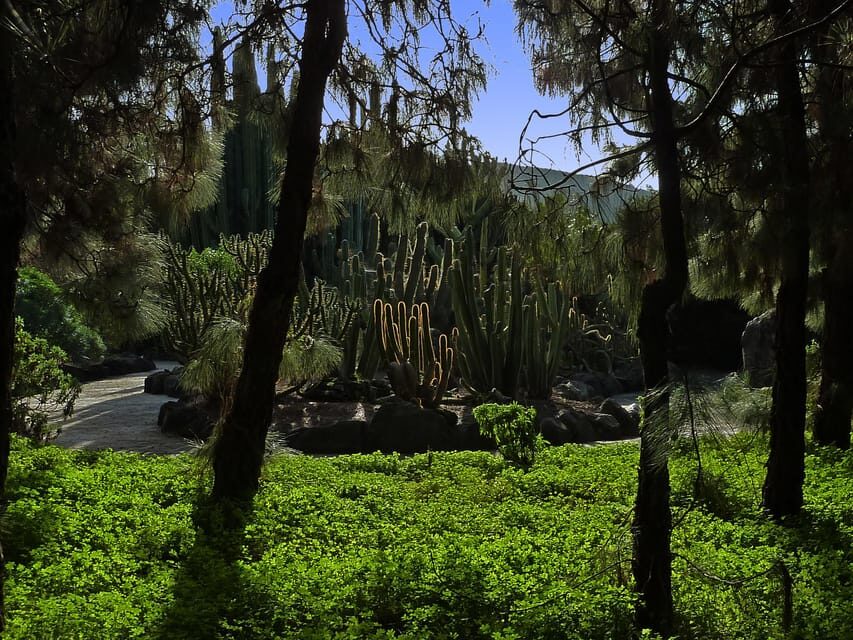 Las Palmas: Privat Botanic Garden Tour & opt. hike Extension - Why this botanic garden feels different in Las Palmas