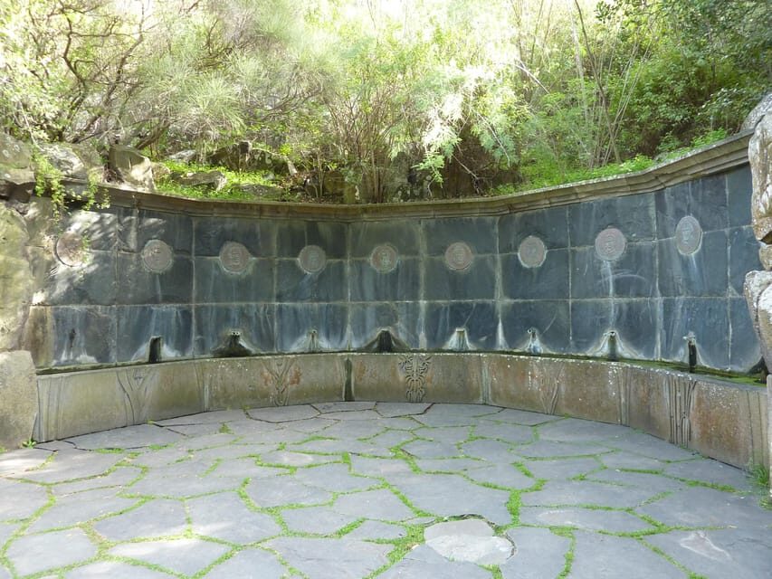 Las Palmas: Privat Botanic Garden Tour & opt. hike Extension - After the tour: Old Town now, or garden time later