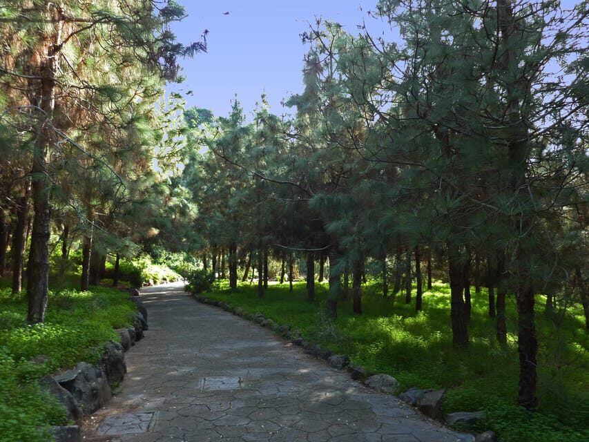 Las Palmas: Privat Botanic Garden Tour & opt. hike Extension - Stop inside the garden: the route through ravines and themed areas