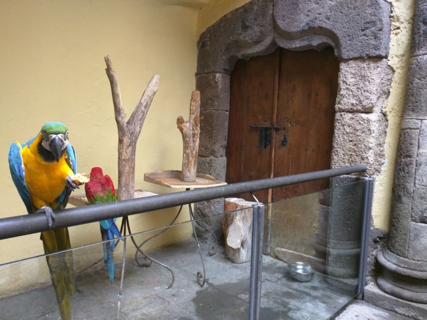 Las Palmas: Private Old City Guided Walking Tour with Tapas - The Walking Route: From Colonial Streets to the Cathedral Area