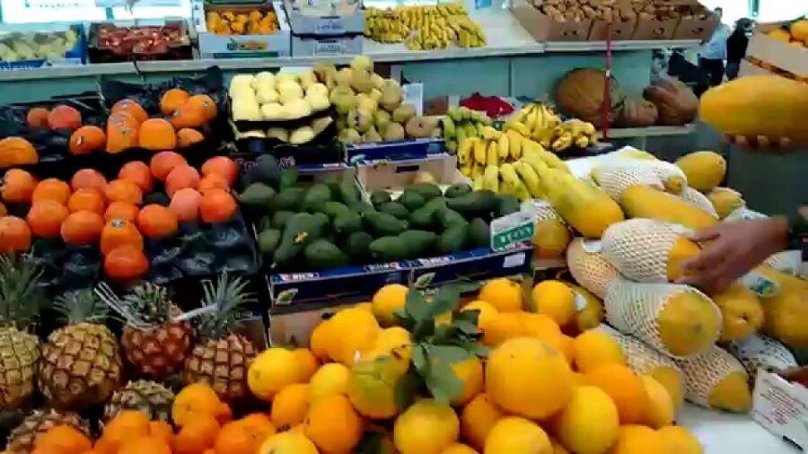 Las Palmas: Private Old City Guided Walking Tour with Tapas - Guides Who Actually Make the City Click