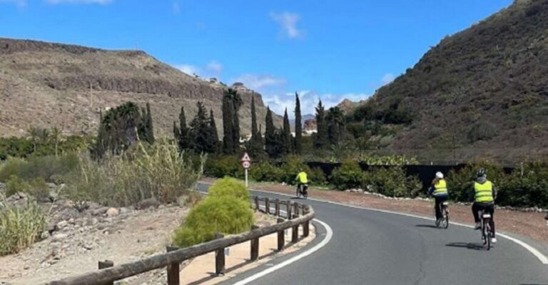 Maspalomas: Ayagaures E-Bike Mountain Tour Optional Tapas - The e-bike experience: strong battery, real-road biking