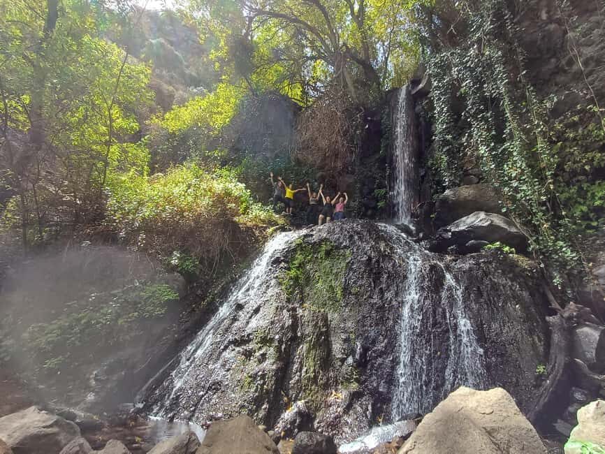 Maspalomas: Barranco de los Cernicalos Rainforest Hike - Key things you’ll notice on this hike