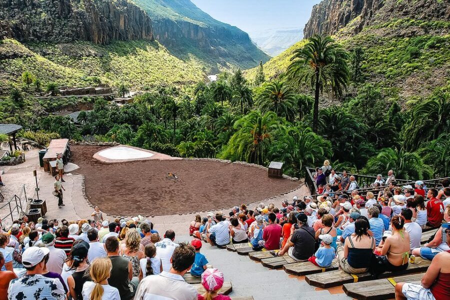 Maspalomas: Palmitos Park Ticket with Dolphin and Bird Shows - Butterfly house and botanical sections: why the walk matters here