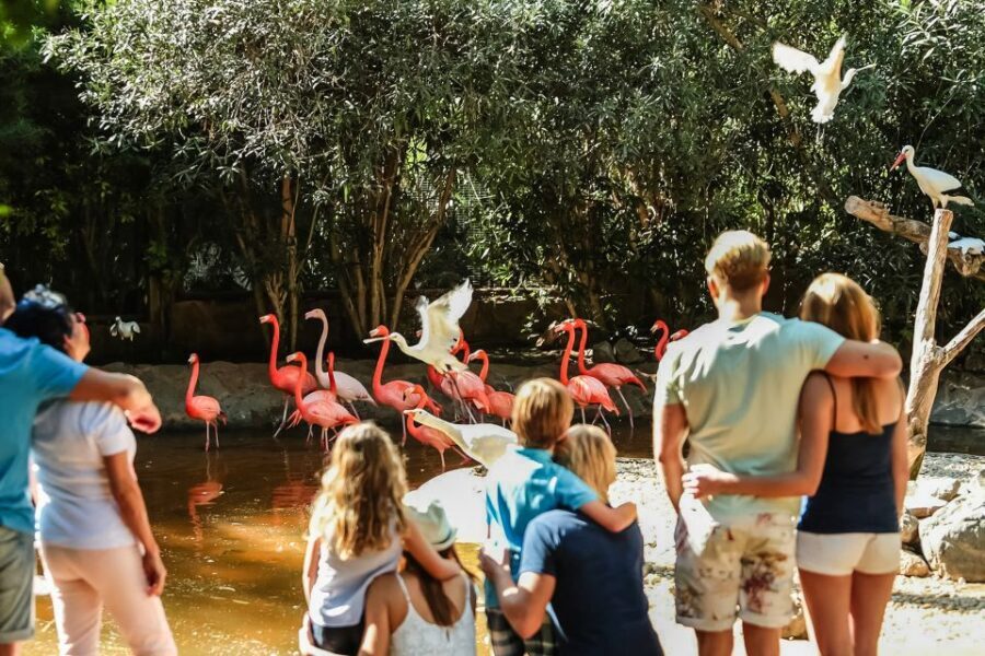 Maspalomas: Palmitos Park Ticket with Dolphin and Bird Shows - Food, drinks, and the real cost of your day