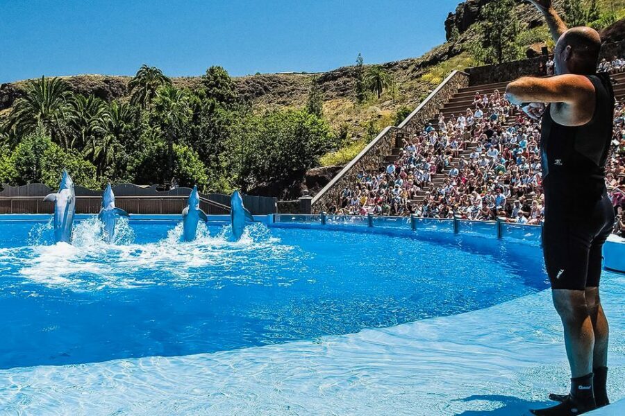 Maspalomas: Palmitos Park Ticket with Dolphin and Bird Shows - Who Palmitos Park is best for (and who should reconsider)