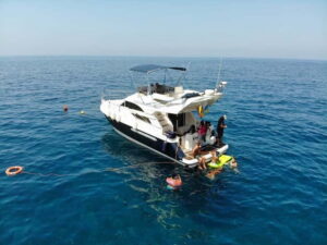 Mogan: Dolphin Watching Boat Trip with Swim Stop - What dolphins you might spot (and why the crew’s search matters)