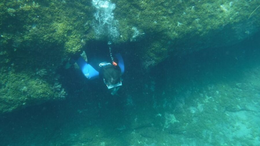 Mogán: Guided Kayak to Caves and Snorkeling Tour - The Cliff Jump Option: Fun When Conditions Allow