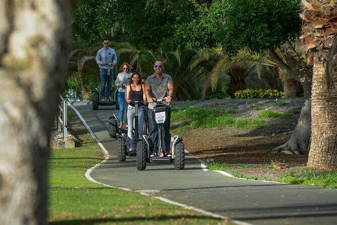 Panoramic Segway Tour - When to Ride: Weather Matters and Timing Can Feel Perfect